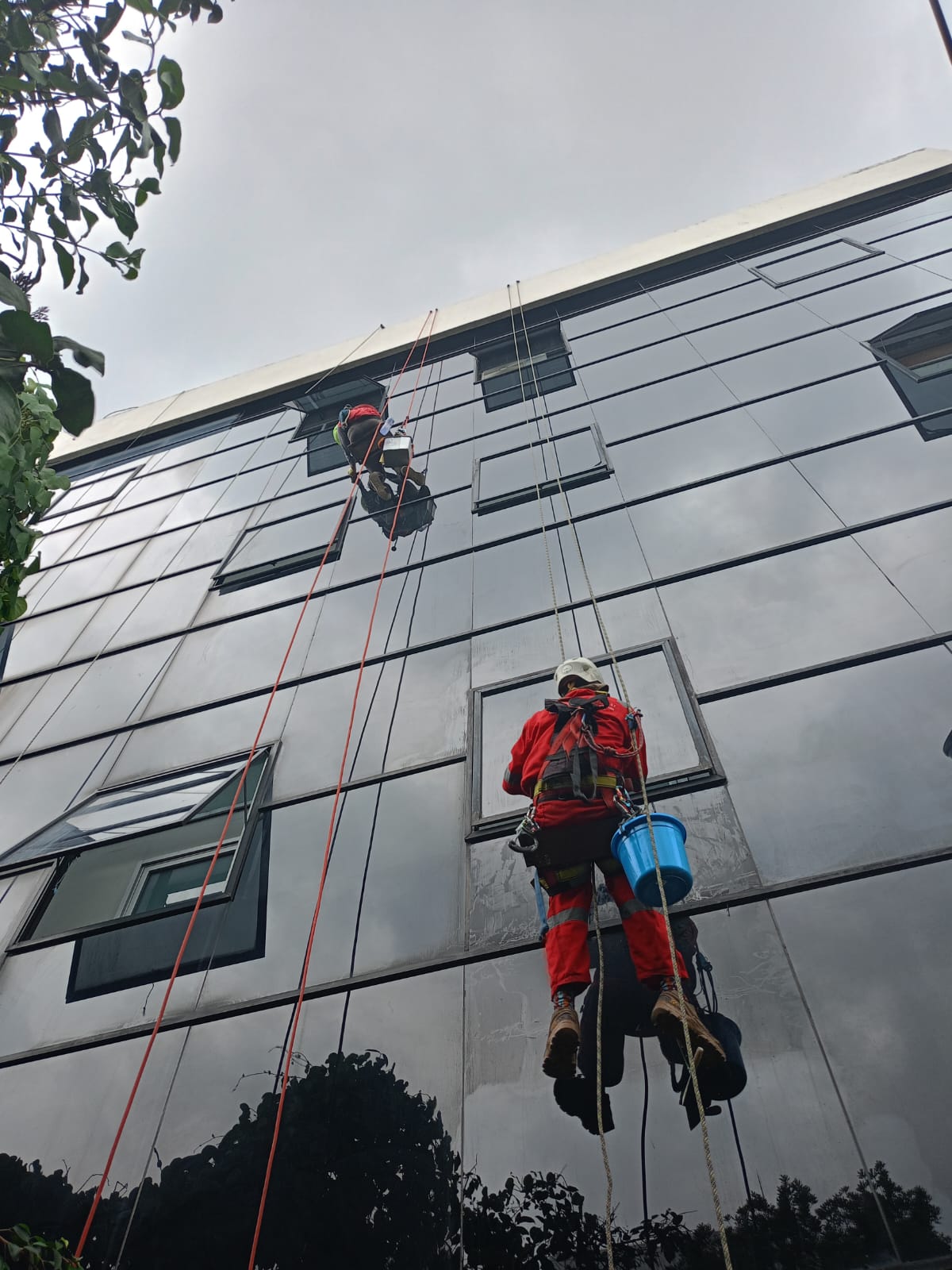 Gedung